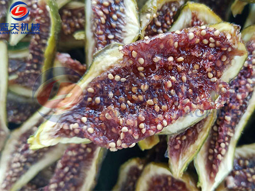 家用水果烘干機(jī)多少錢一臺？